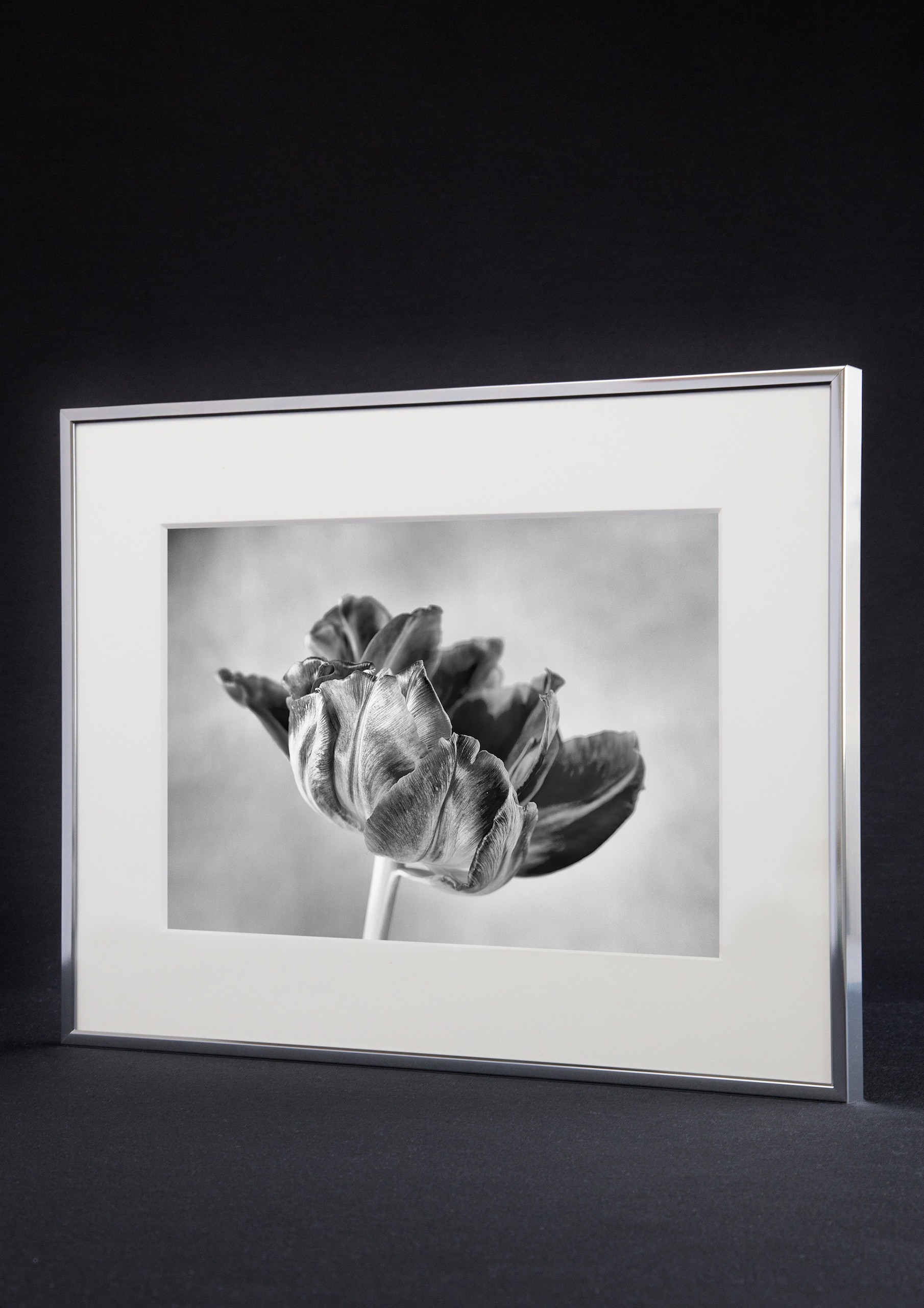 Aluminium Bilderrahmen Accent